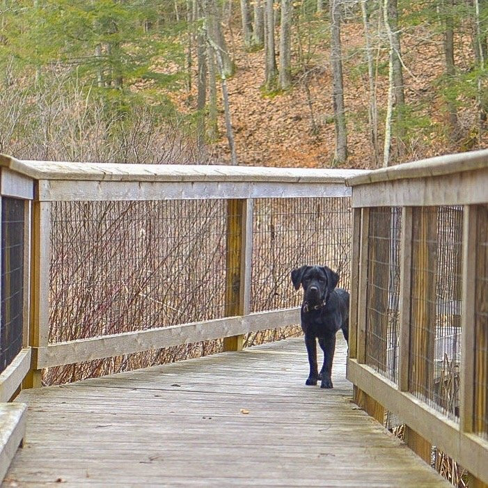 Lake Shaftsbury State Park-Shaftsbury必去景点