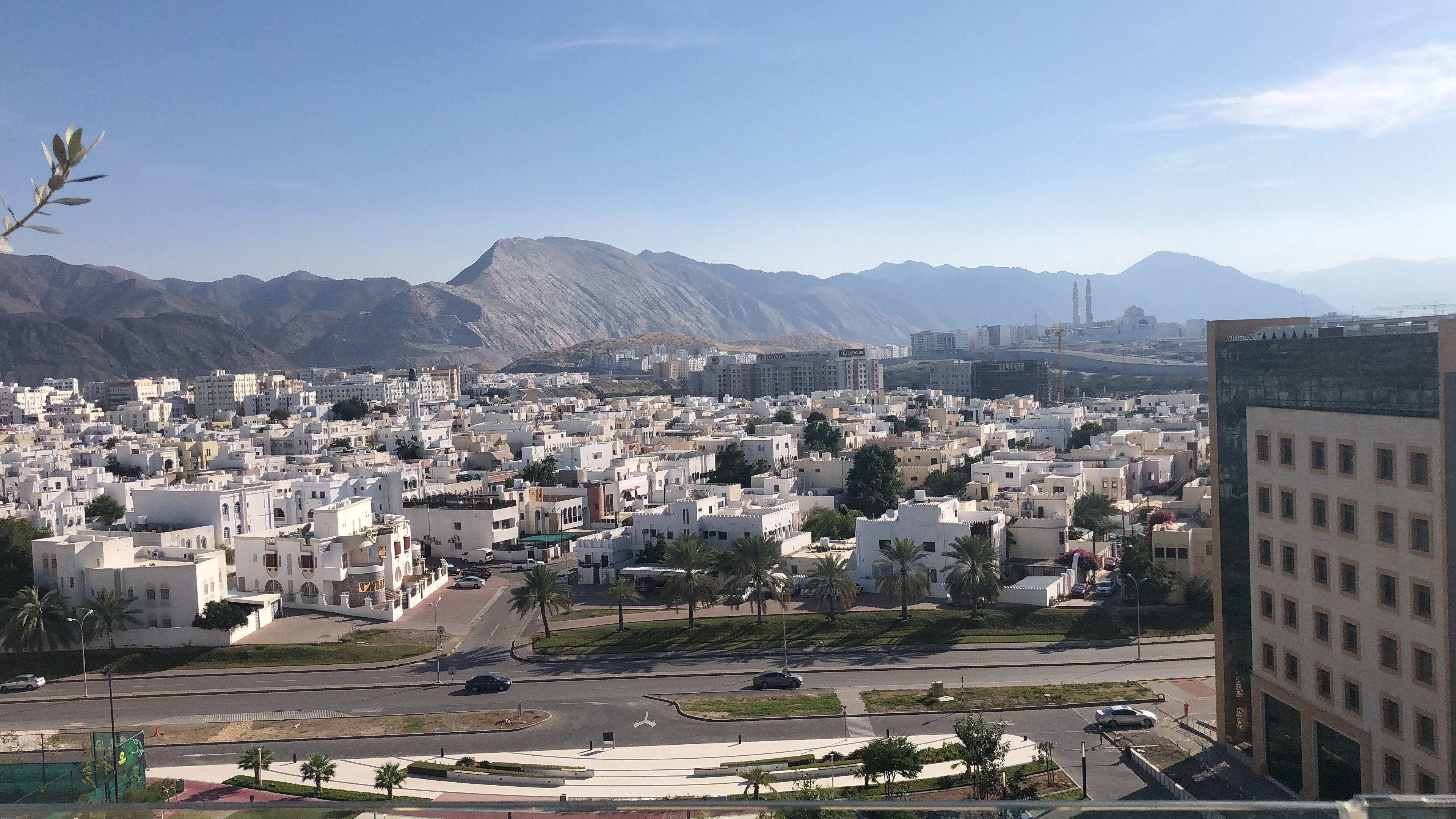 Hilton Garden Inn Muscat Al Khuwair-泳池