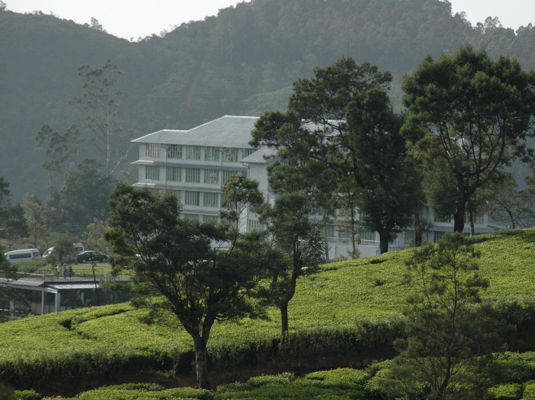 Pleasant Lanka Tours-Kandana必去景点