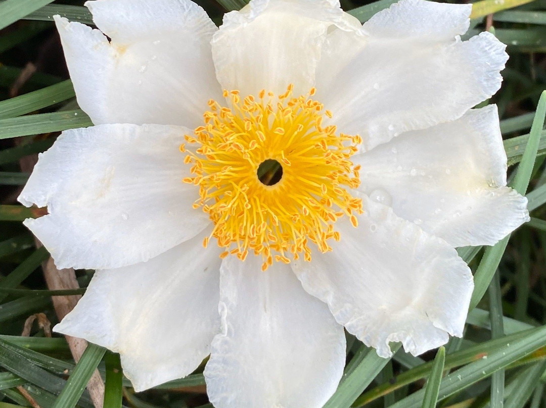 Las Cruces Biological Station and Wilson Botanical Garden-San Vito必去景点