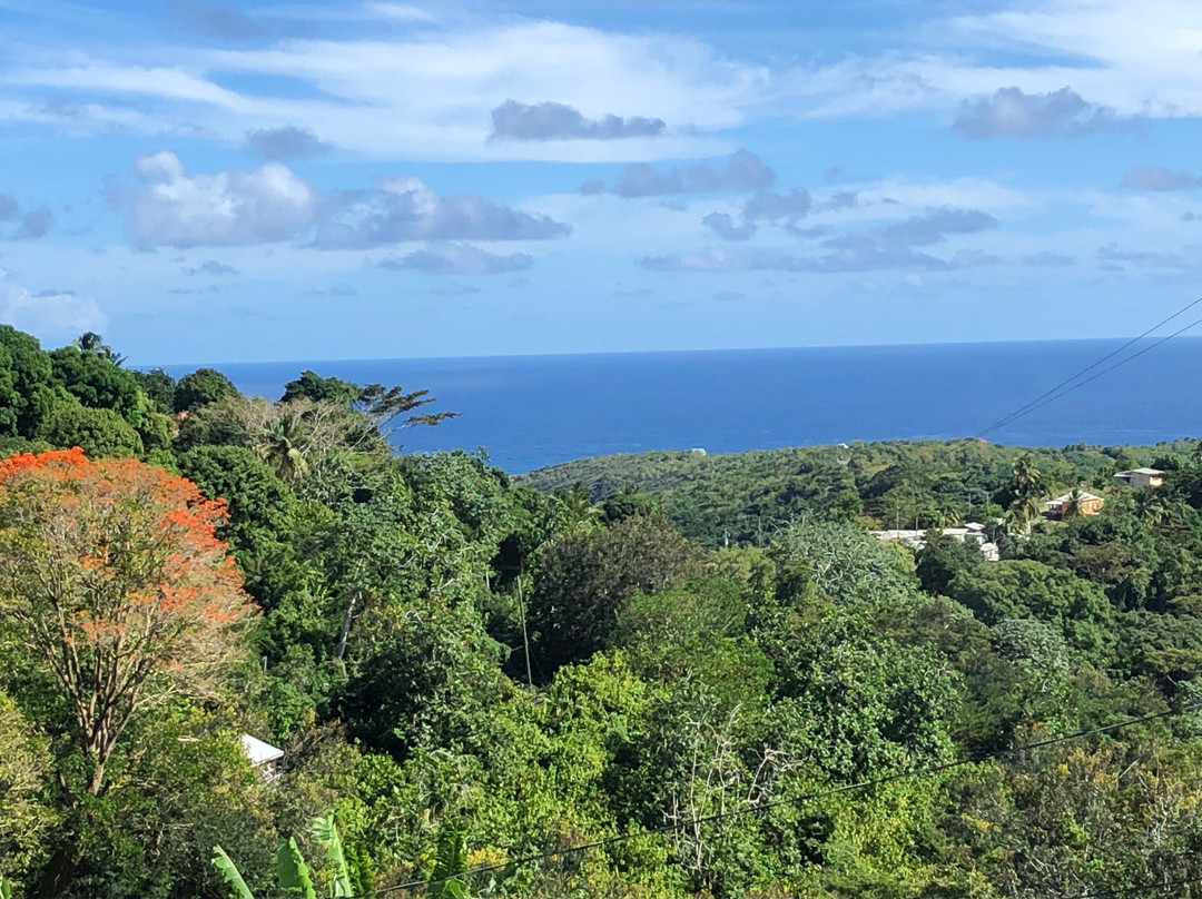 Specky Tours Grenada景点图片