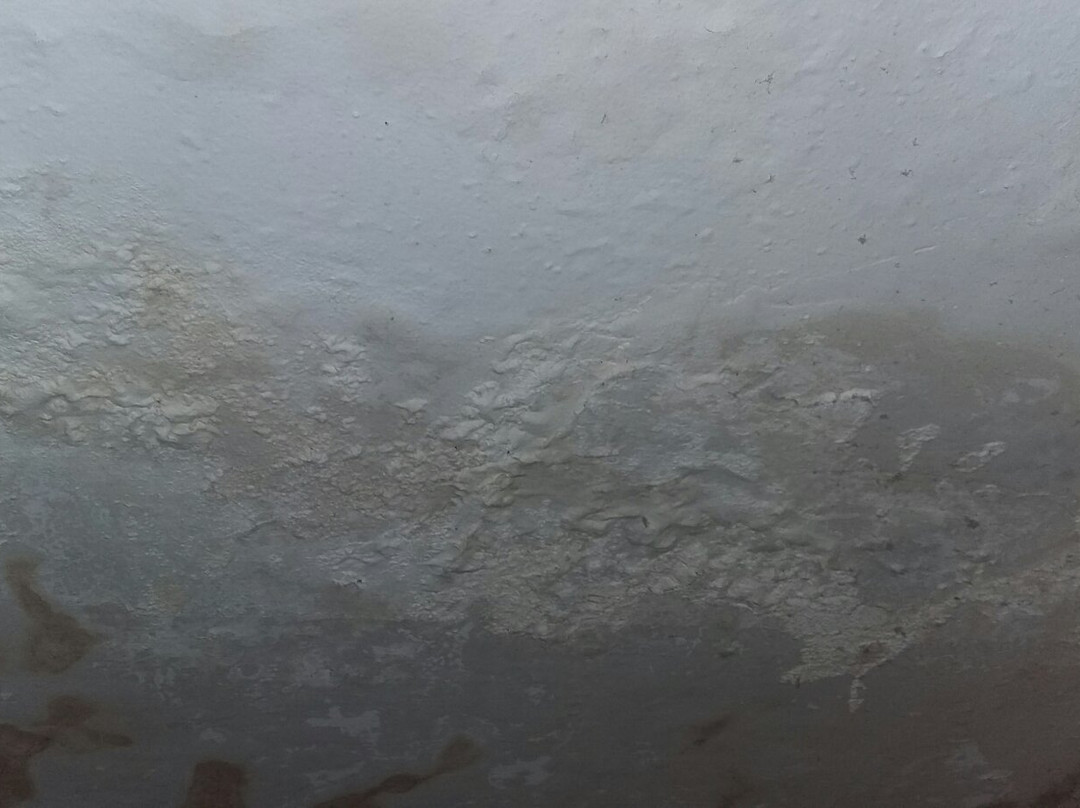 Bamboo Lagoon Backwater Front Resort主图