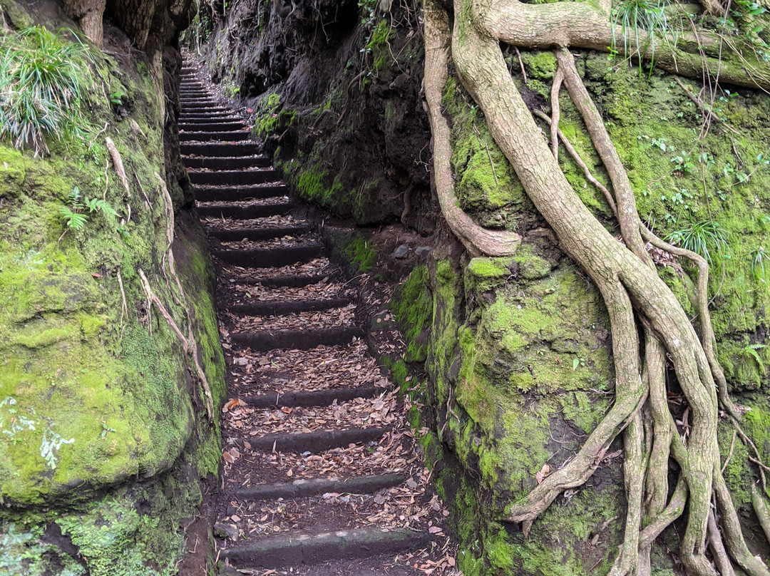 Senzu no Kiridoshi-大岛町必去景点