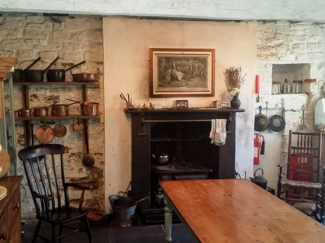 Poole Museum and Scaplen's Court Museum and Herb Garden-普尔必去景点