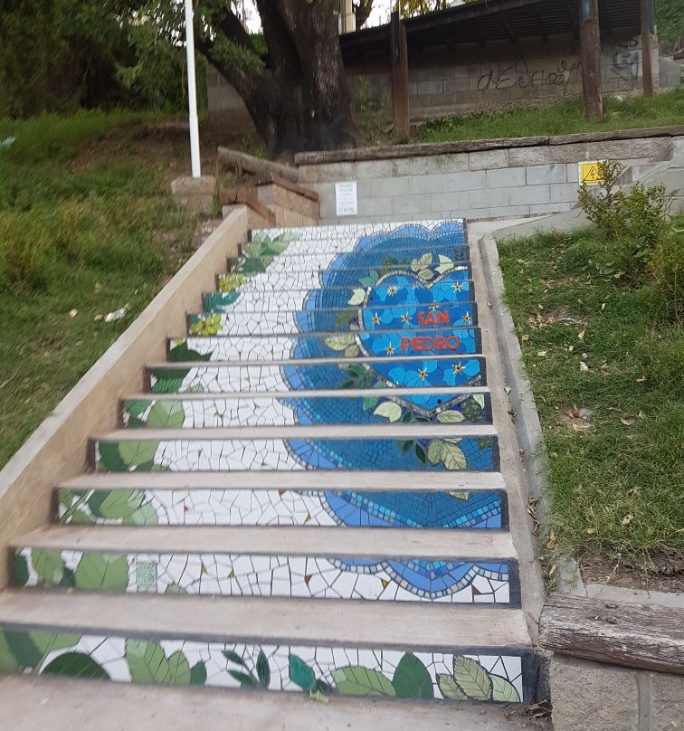 Escalera de Las Flores景点图片