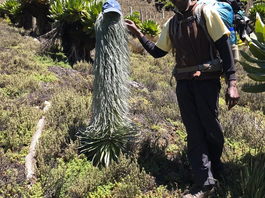 Mk Snow Tours And Travel-Naro Moru必去景点