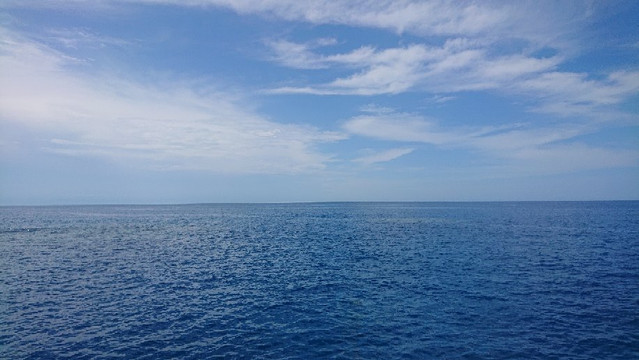 Skedaddle-凯恩斯必去景点