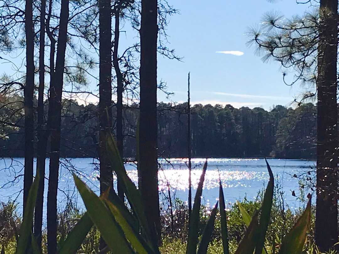 Reservoir Park景点图片