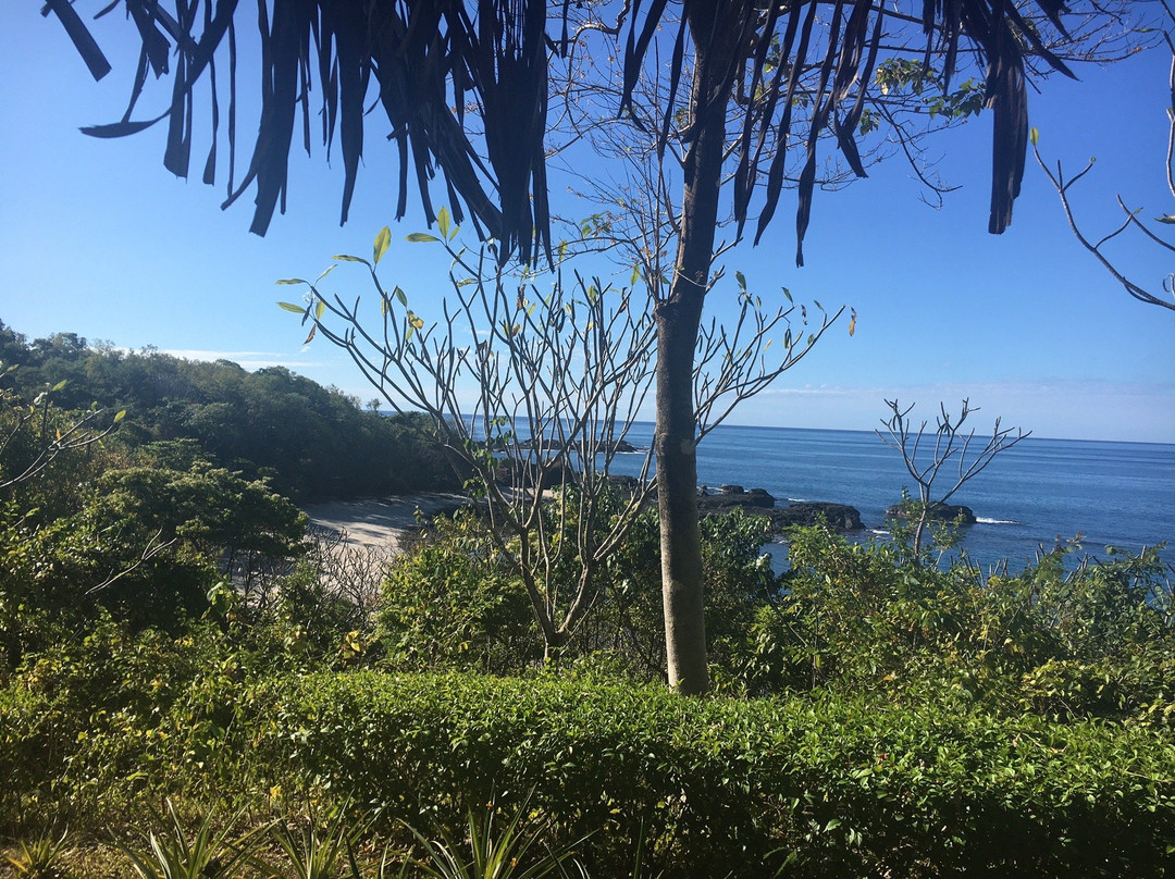 Treetops B&B Inn主图