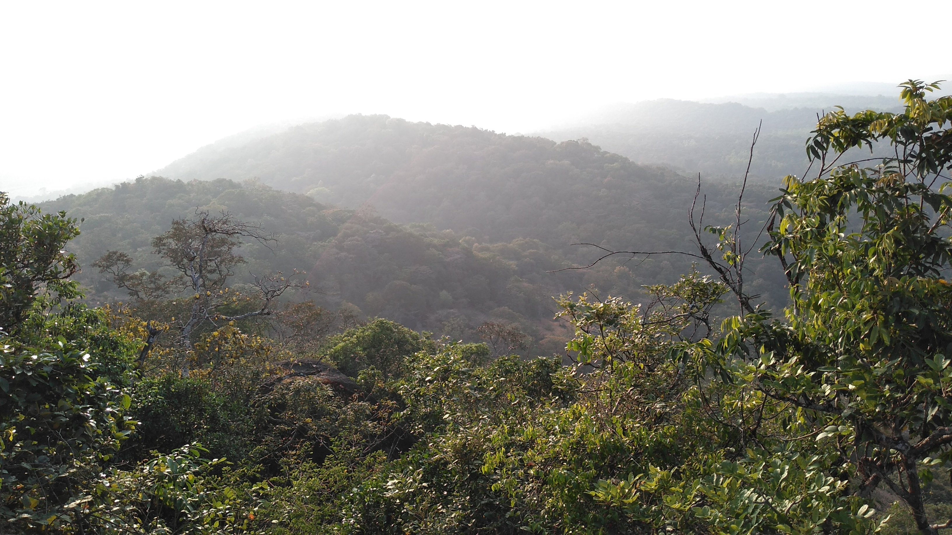 Sathwik Homestay-官方