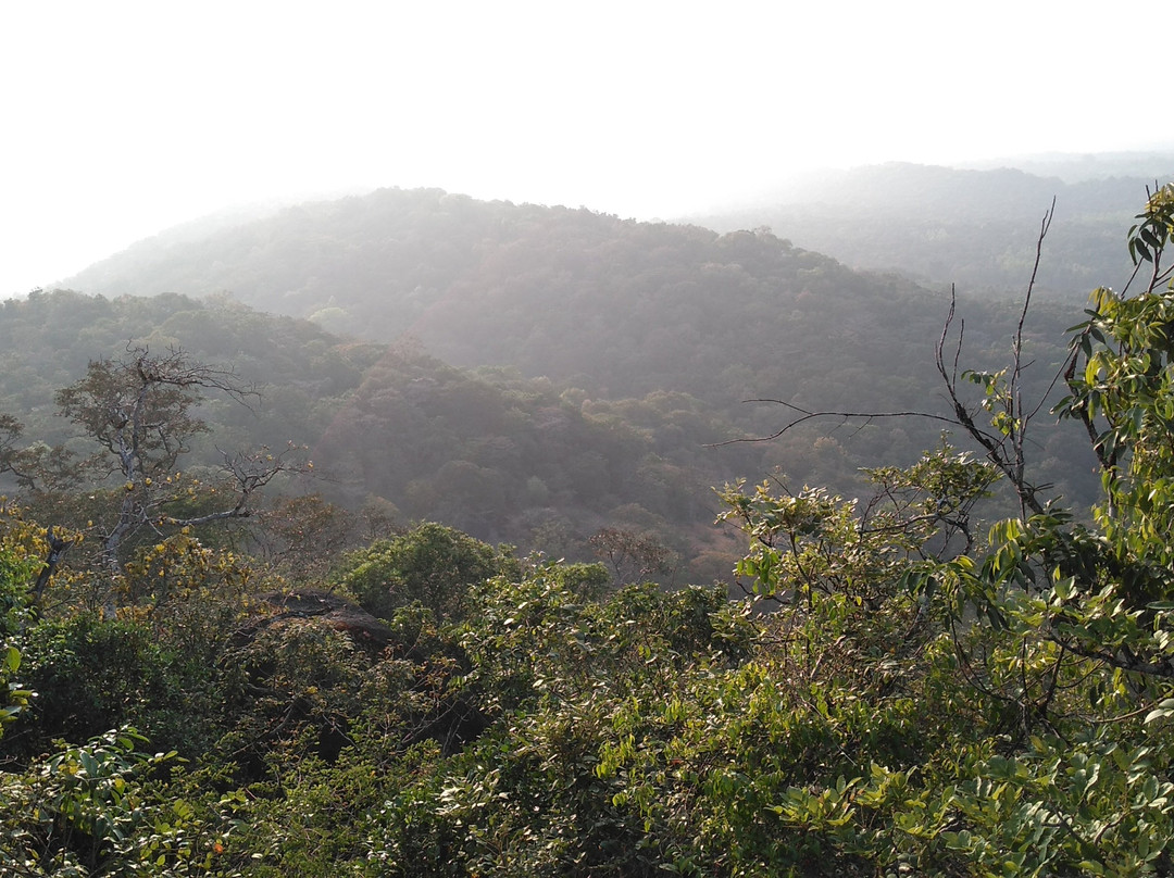 Sathwik Homestay主图