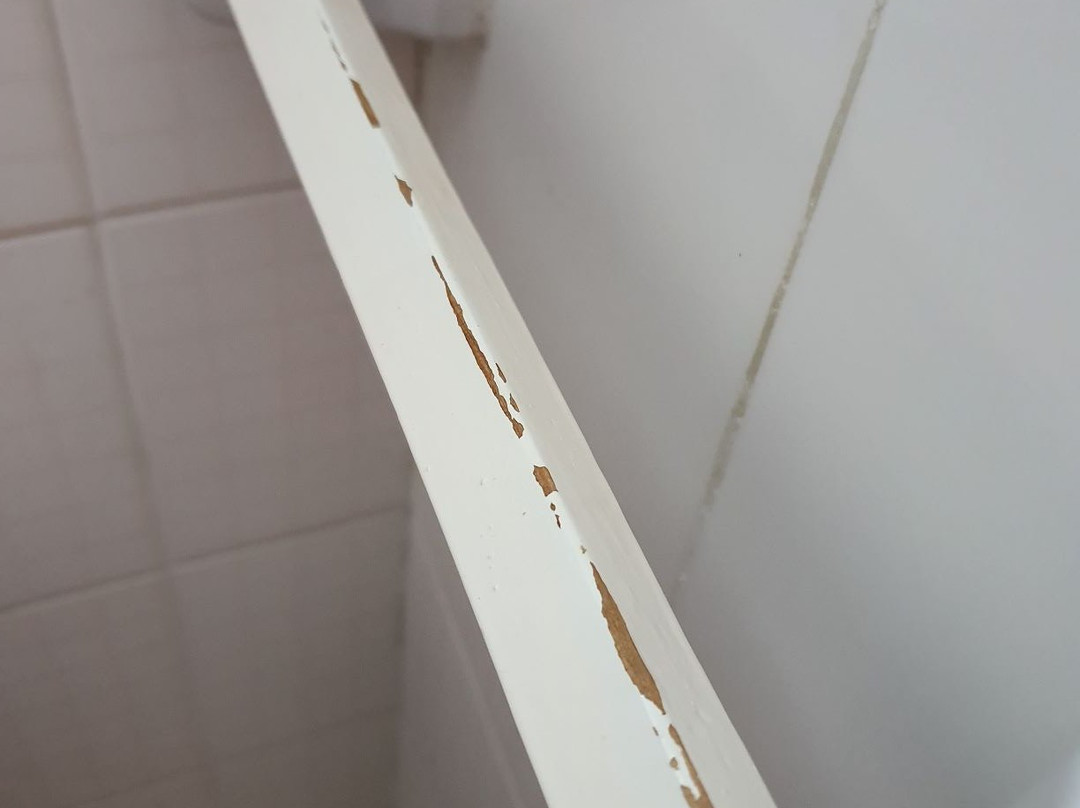 Gran Hotel Avenida主图