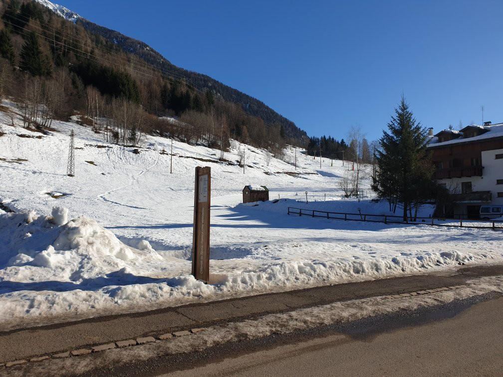 Scuola Italiana Sci e Snowboard Val di Pejo景点图片