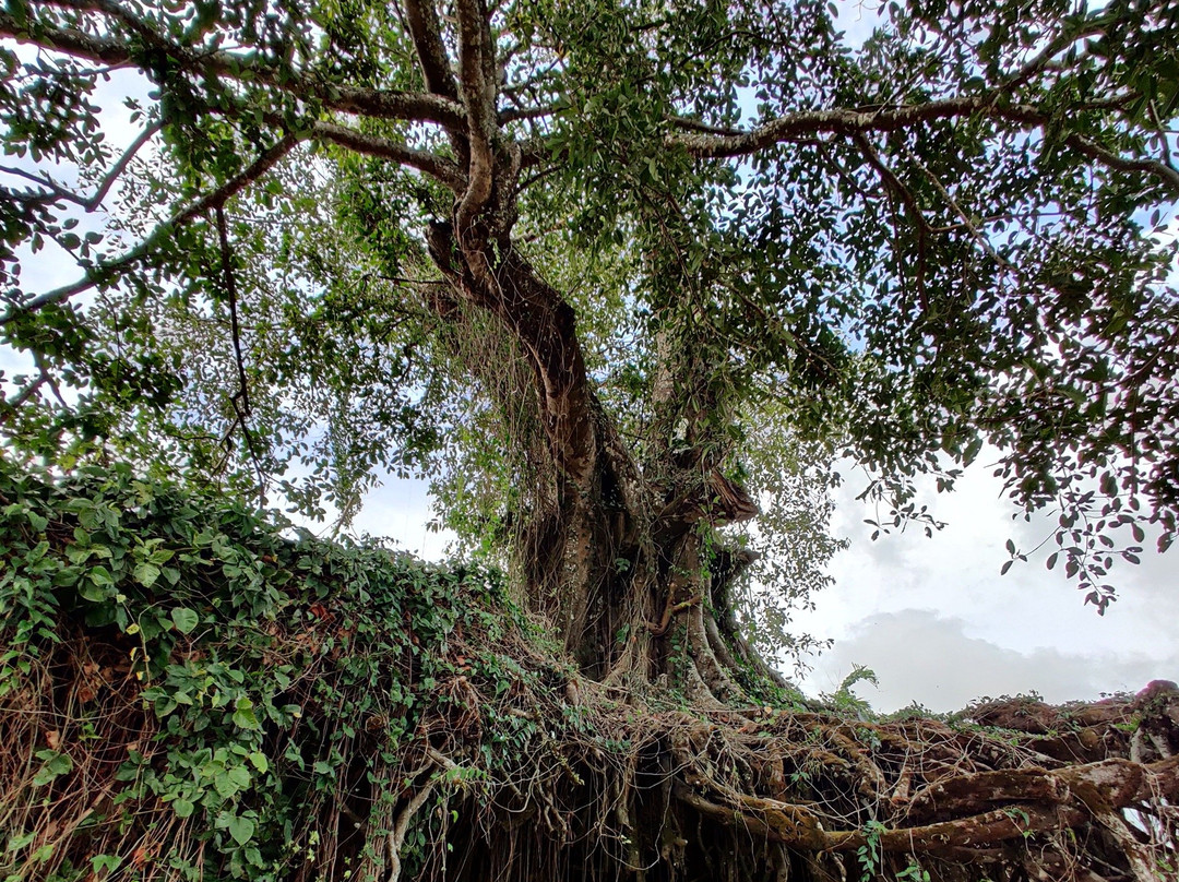 Wologai Traditional Village-弗洛勒斯岛必去景点
