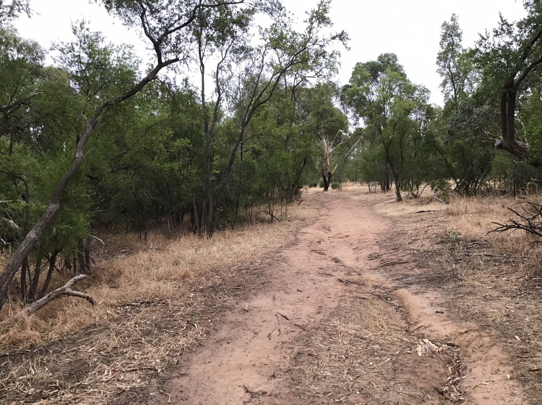 Bannockburn Bushland Reserve-Bannockburn必去景点