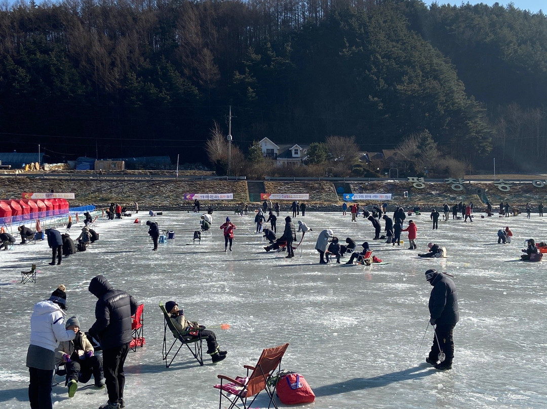 Pyeongchang Trout Festival-平昌郡必去景点