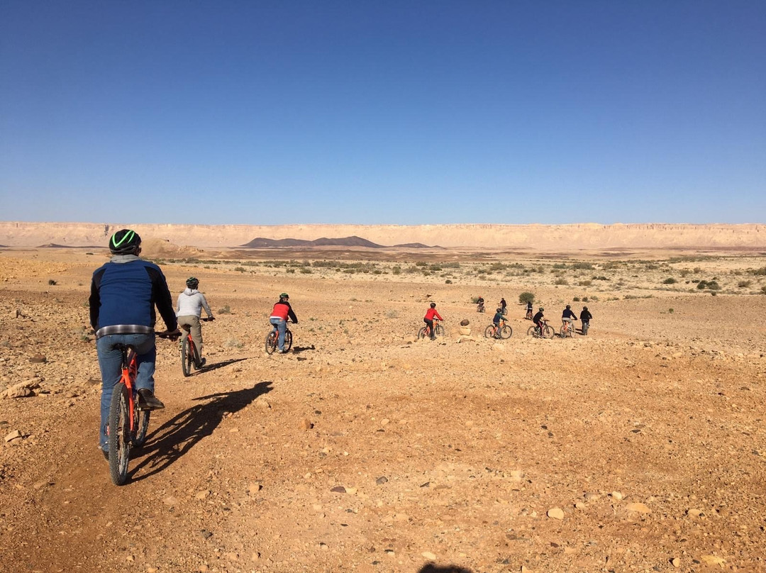 Dani Eco Tours-Haifa必去景点