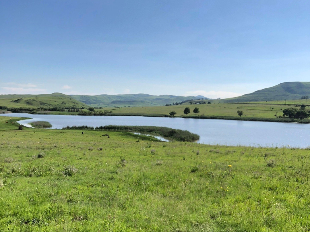 Wetlands Country House and Sheds主图