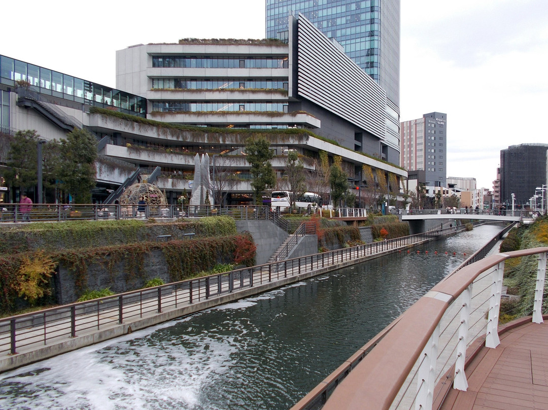 Oshinari Park-墨田区必去景点