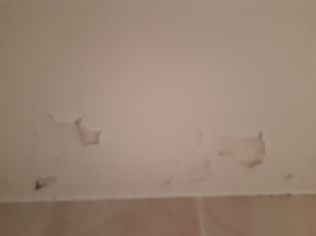 Pensión Zumardi主图