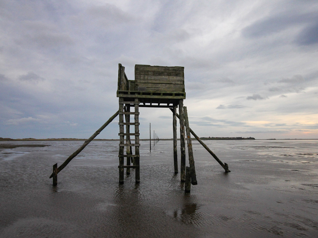 Holy Island Hikes景点图片