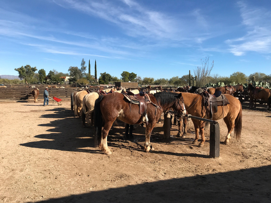 Los Caballeros Golf Club-Wickenburg必去景点