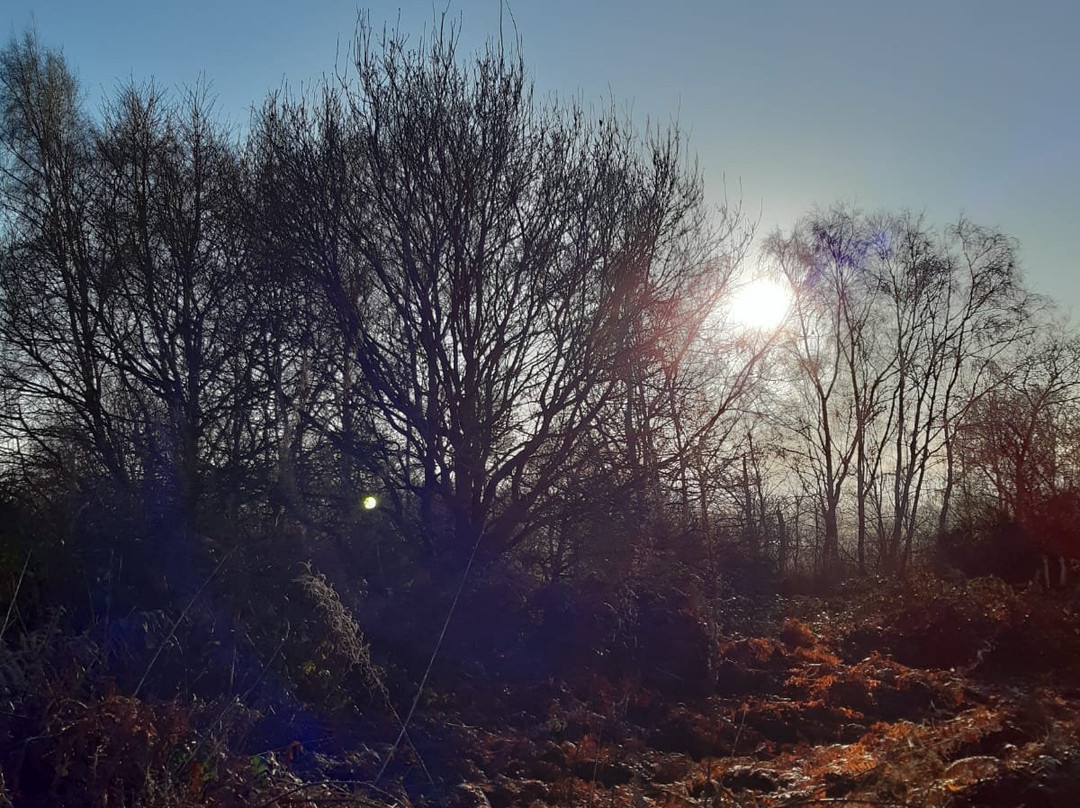 Haughmond Hill-什鲁斯伯里必去景点