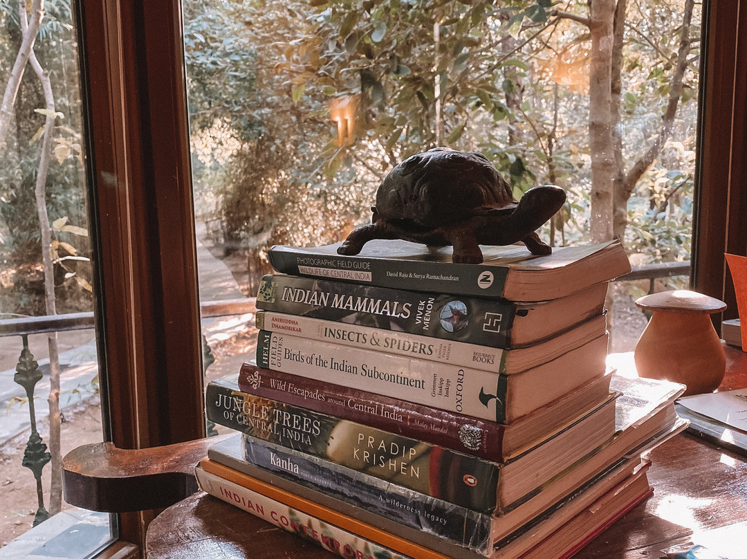 Singinawa Jungle Lodge主图