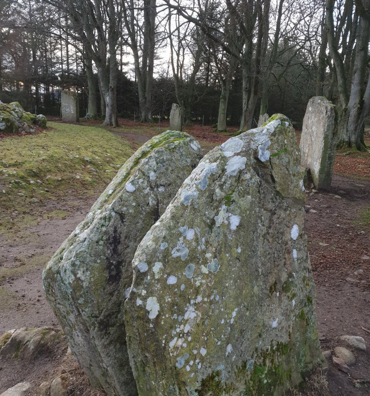 Corrimony Chambered Cairn-德拉姆纳德罗希特必去景点