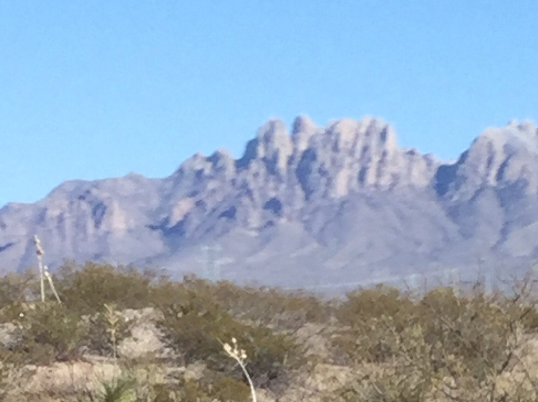 New Mexico Farm and Ranch Heritage Museum-拉斯克鲁塞斯必去景点