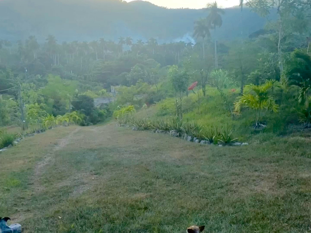 Finca Excelencia-Soroa必去景点