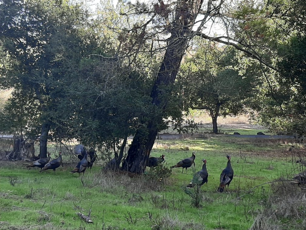Lafayette Reservoir-Lafayette必去景点