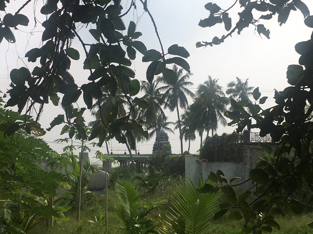 Arulmigu Abathsagayeswarar Temple景点图片