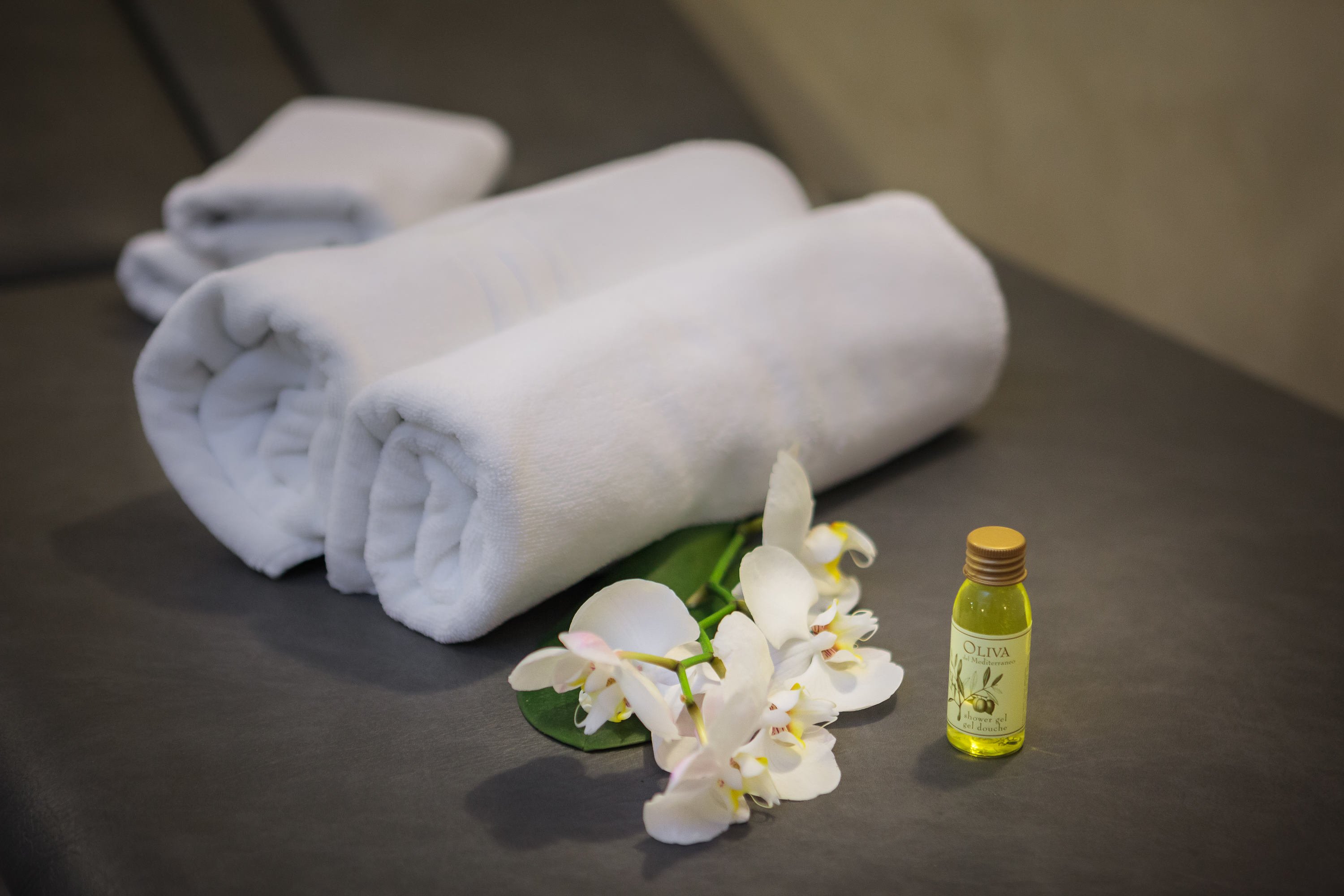 Hotel Villa Bacchus-官方