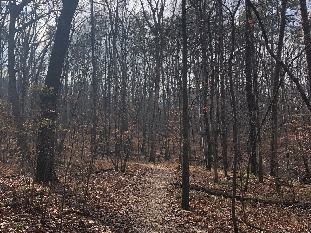 Oak Mountain State Park景点图片