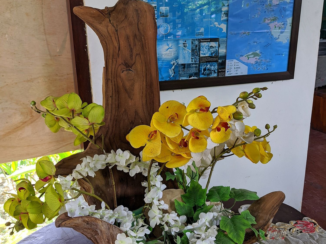 Hotel Raja Ampat主图