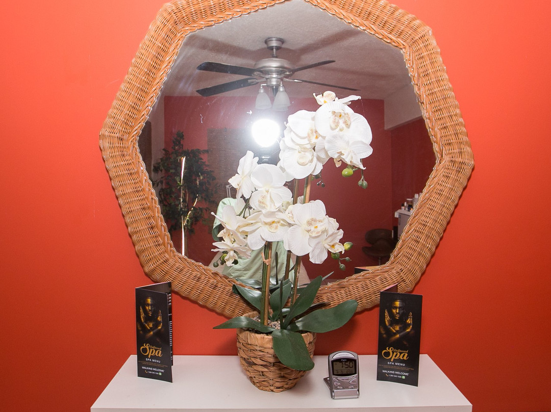 Driftwood Spa-West End必去景点