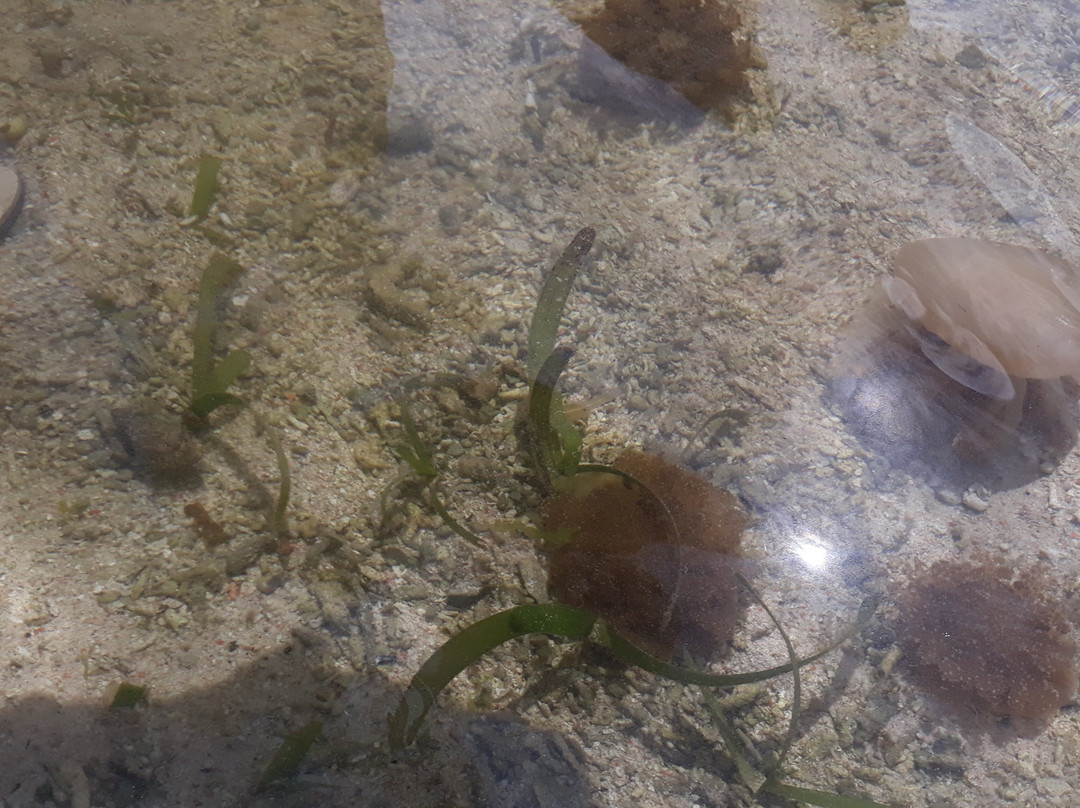 Santa Cruz Island-三宝颜必去景点
