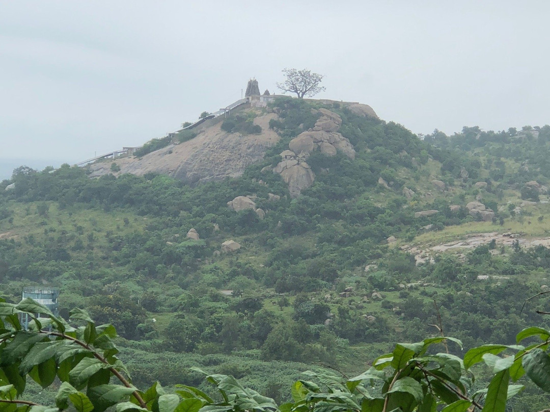 Sri Yoga Narasimhar Temple Sholingur-Sholinghur必去景点