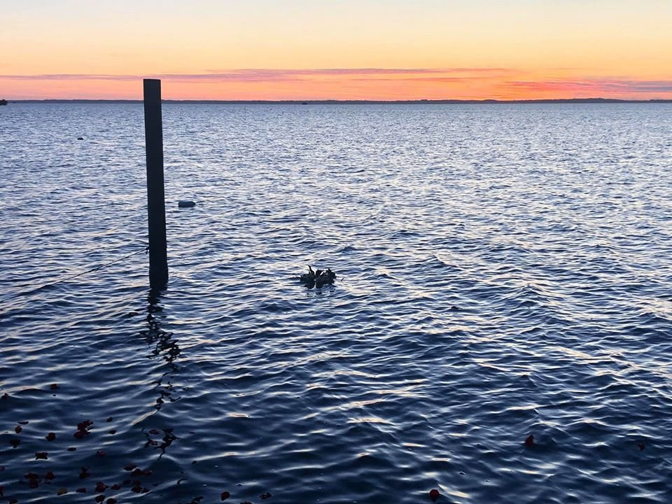 Inn at Corolla Light主图