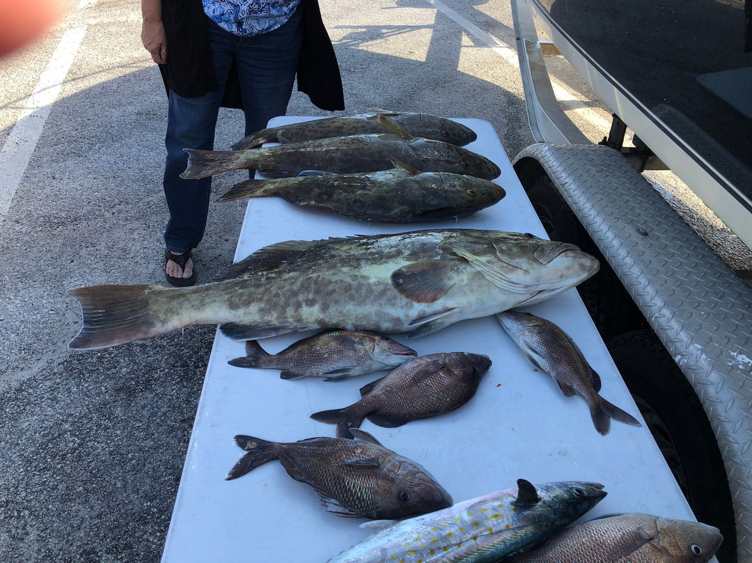 Salty D's Charters-Weeki Wachee必去景点