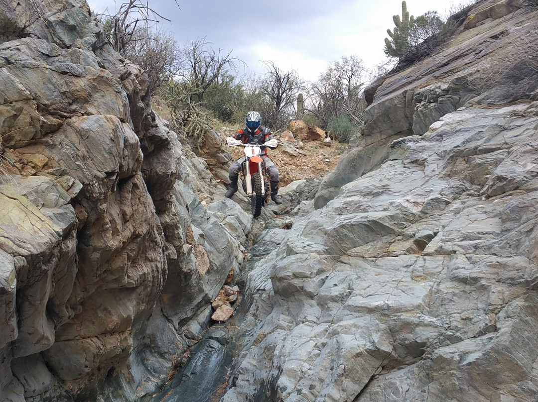 Arizona Dirt Bike Rentals-Wickenburg必去景点