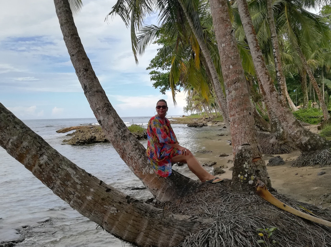 Villas Del Caribe主图