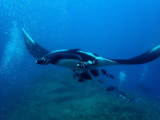 Rocio del Mar-圣何塞卡波必去景点