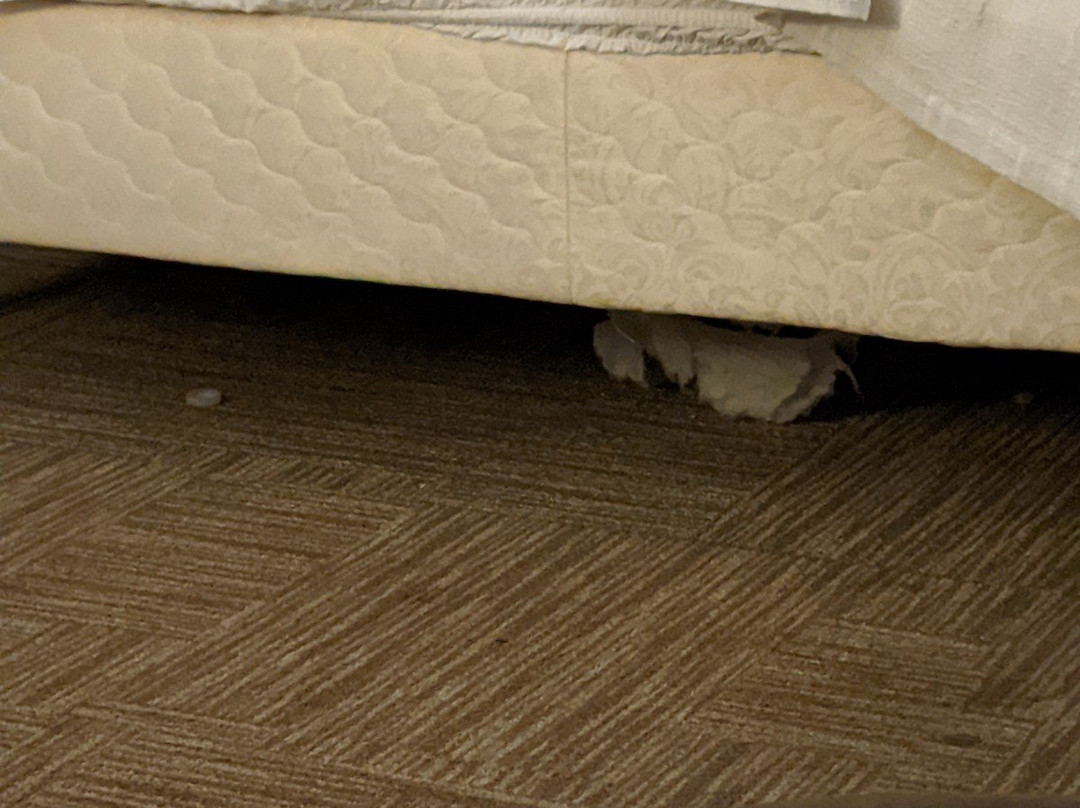 Staybridge Suites Chicago - Lincolnshire by IHG主图