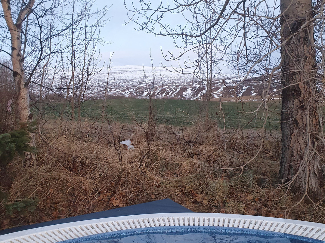 Knarrarberg - Yoga & Spa-阿克雷里必去景点