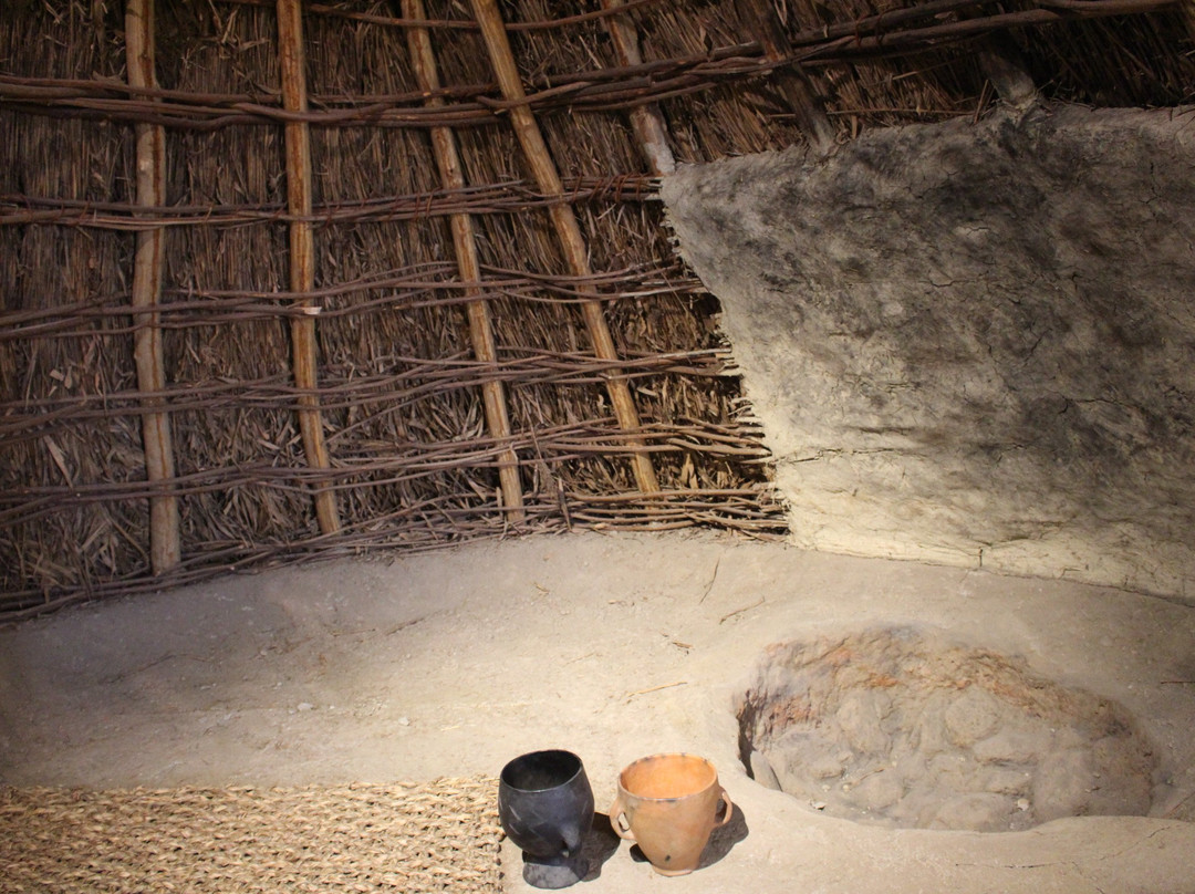 Museo Civico archeologico e di Scienze Naturali F. Eusebio-阿尔巴必去景点