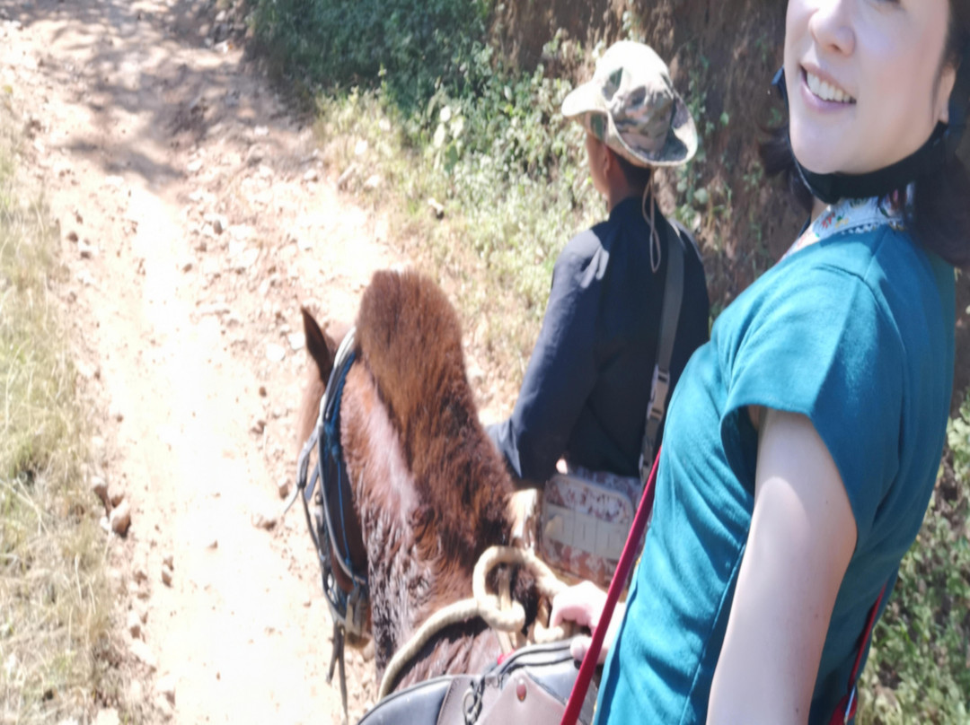 Nampan Horse Riding Club-Nampan必去景点