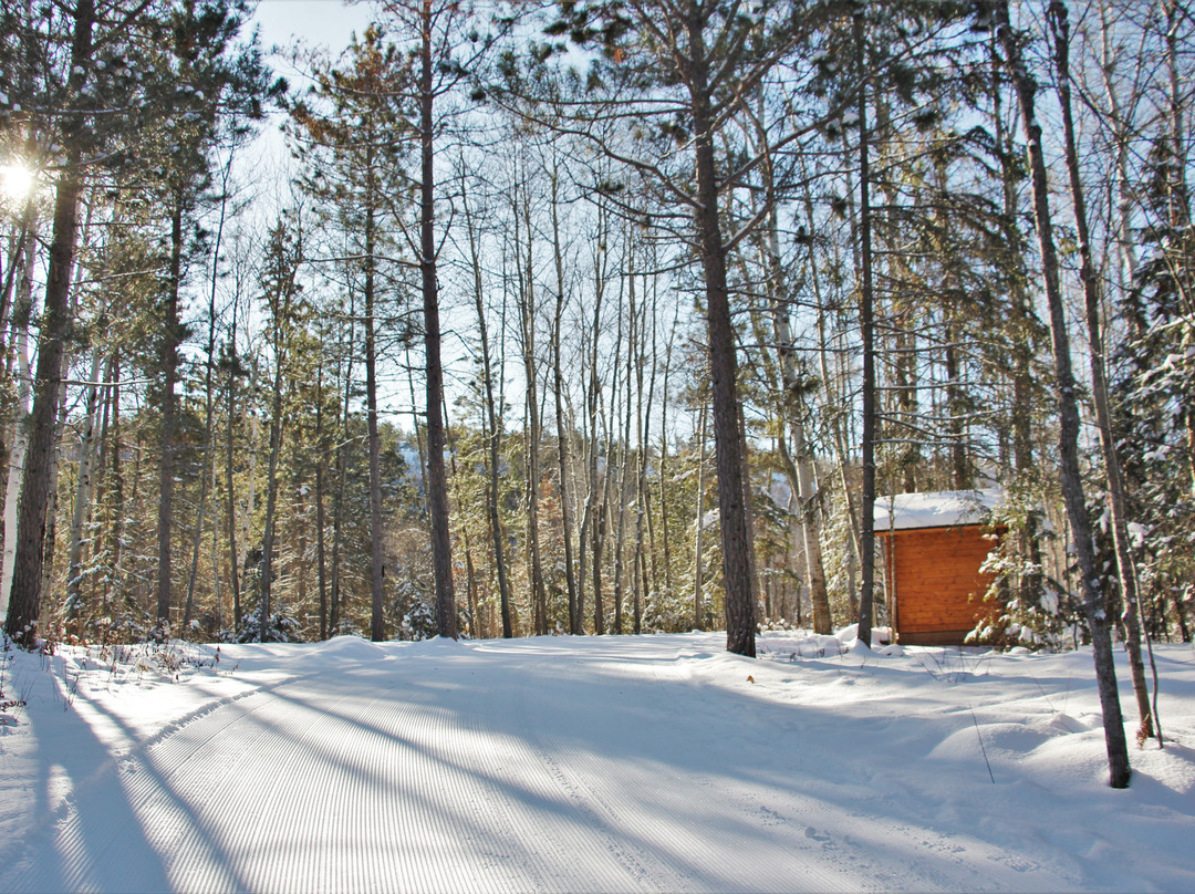 Kivi Park-Sudbury必去景点