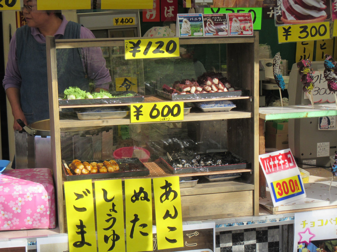 Sagae Park-寒河江市必去景点